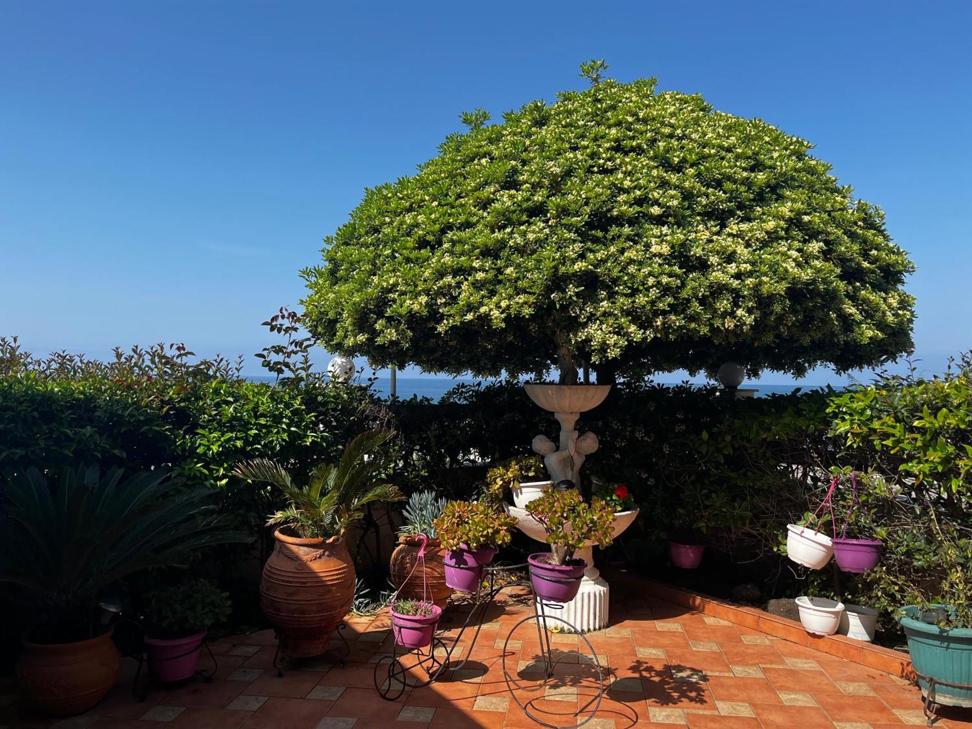 Family Sea & Garden View Apartment Preveza Exterior foto
